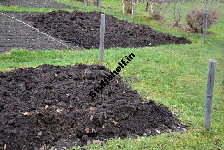 Improving Garden Soil with Organic Amendments