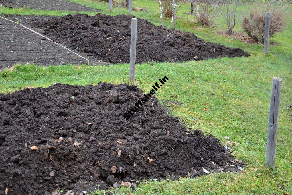 Improving Garden Soil with Organic Amendments