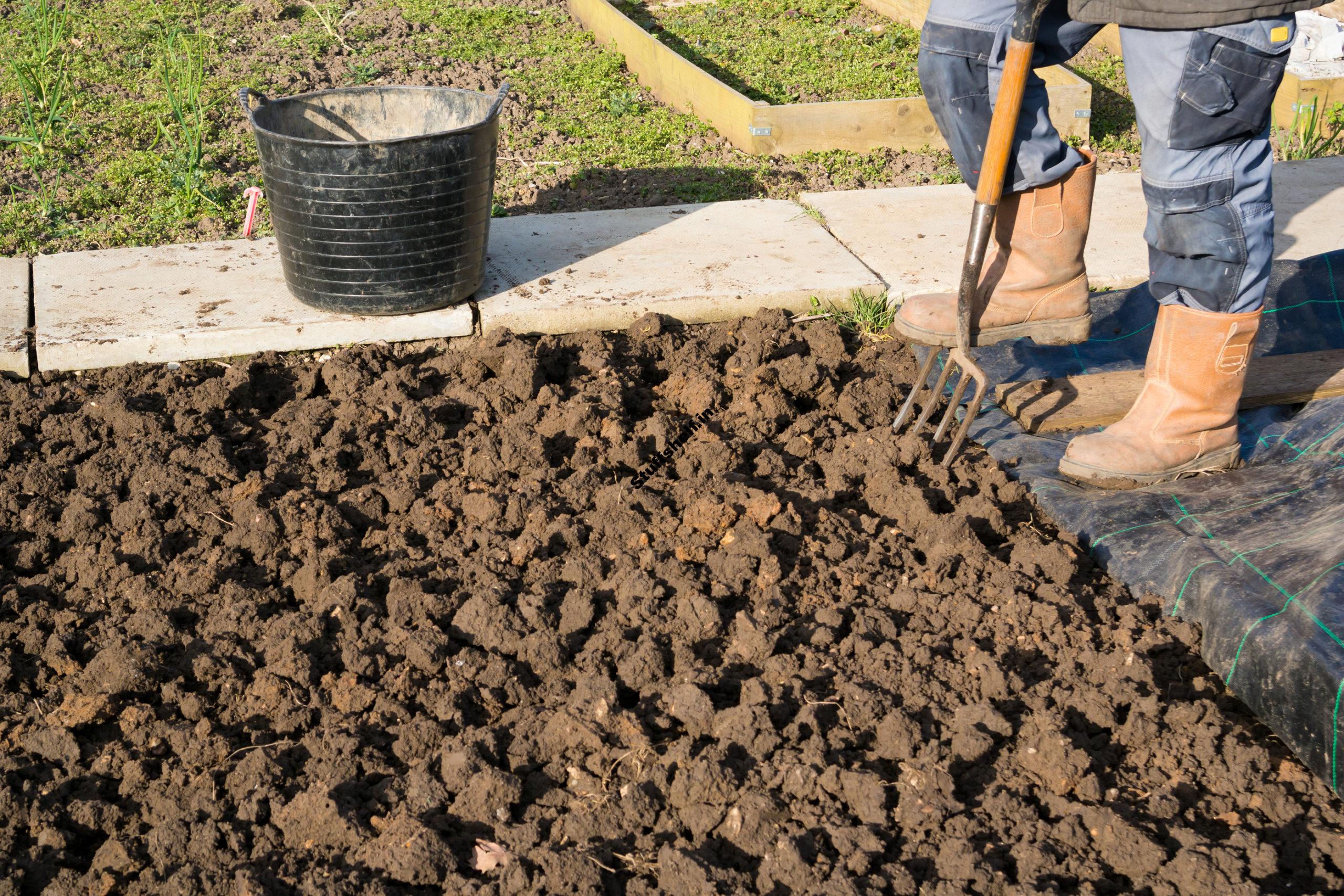 Tilling Digging and Forking the Vegetable Garden