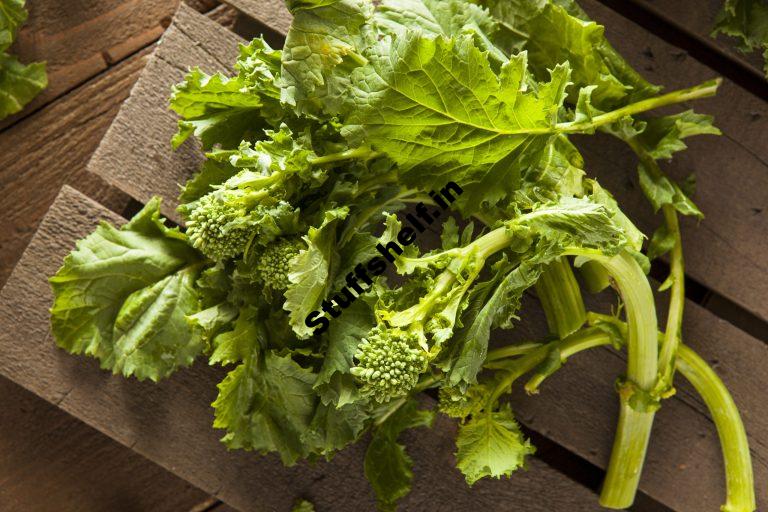 How to Grow Raab Broccoli Raab Rapini