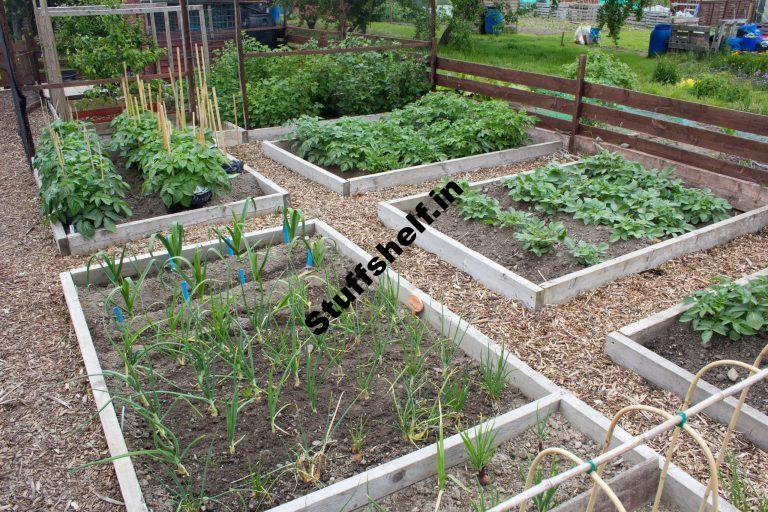 Crop Rotation in the Small Vegetable Garden