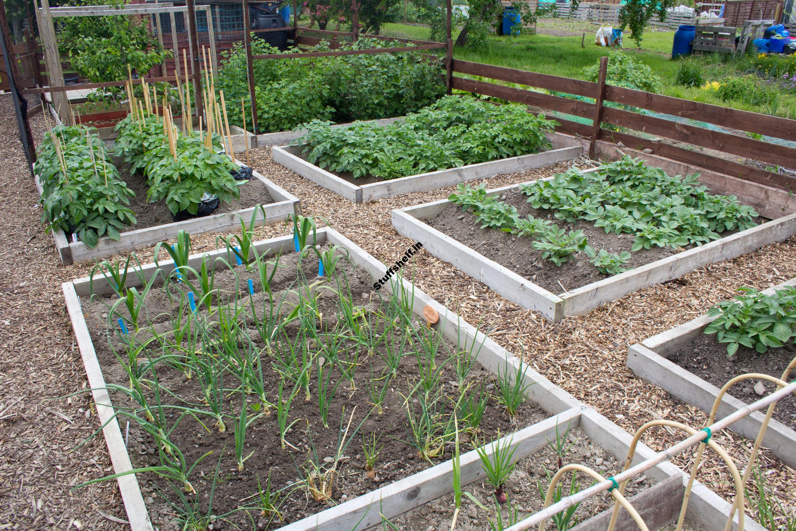 Crop Rotation in the Small Vegetable Garden