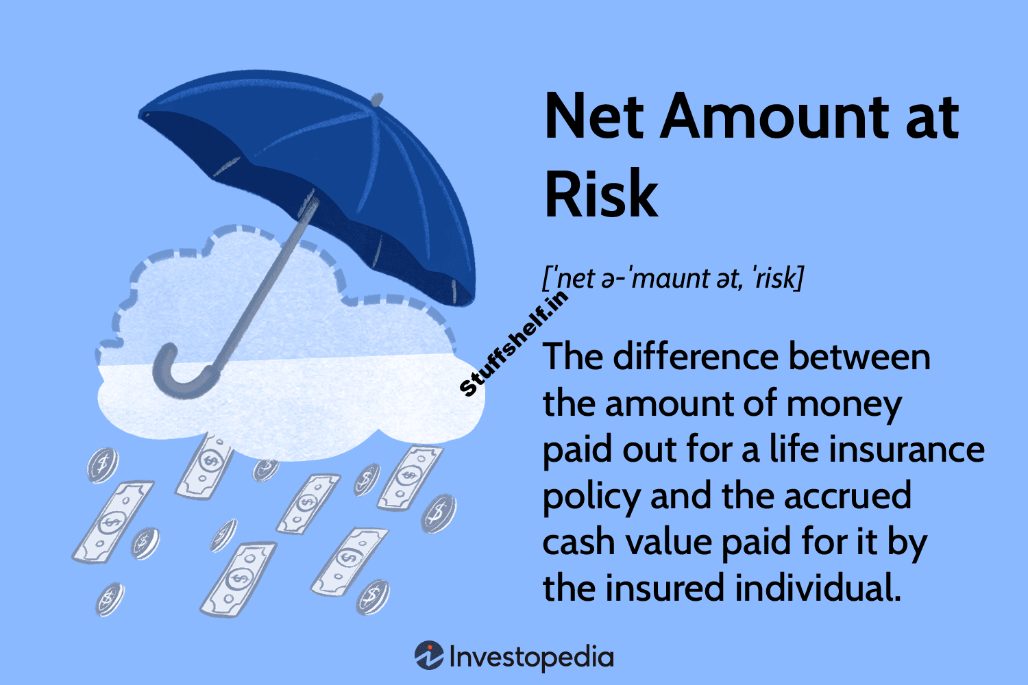 Net Amount at Risk Definition