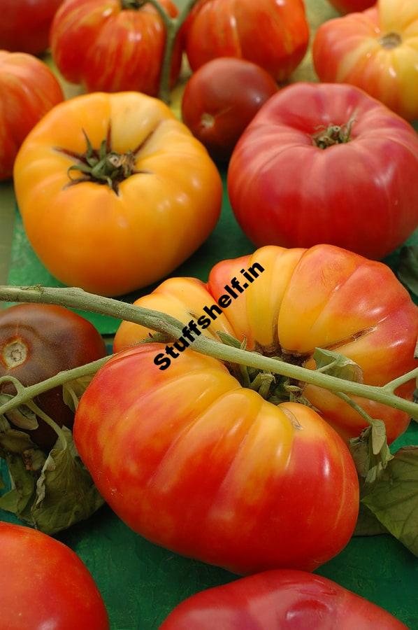 Grow Tomatoes This Spring Harvest to Table