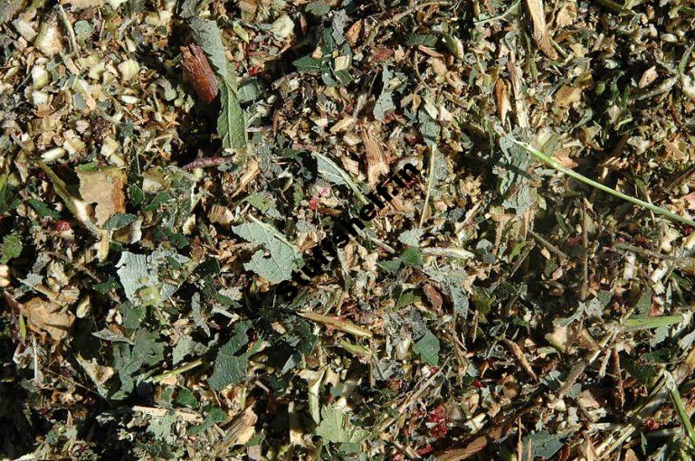 Vegetable Garden Cleanup Harvest to Table