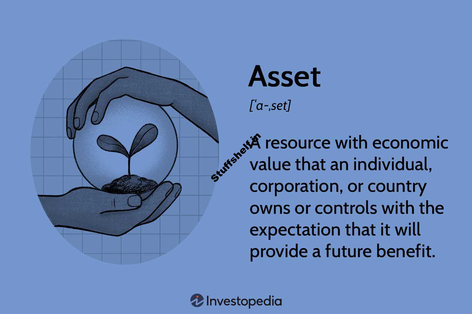 What Is an Asset Definition Types and Examples