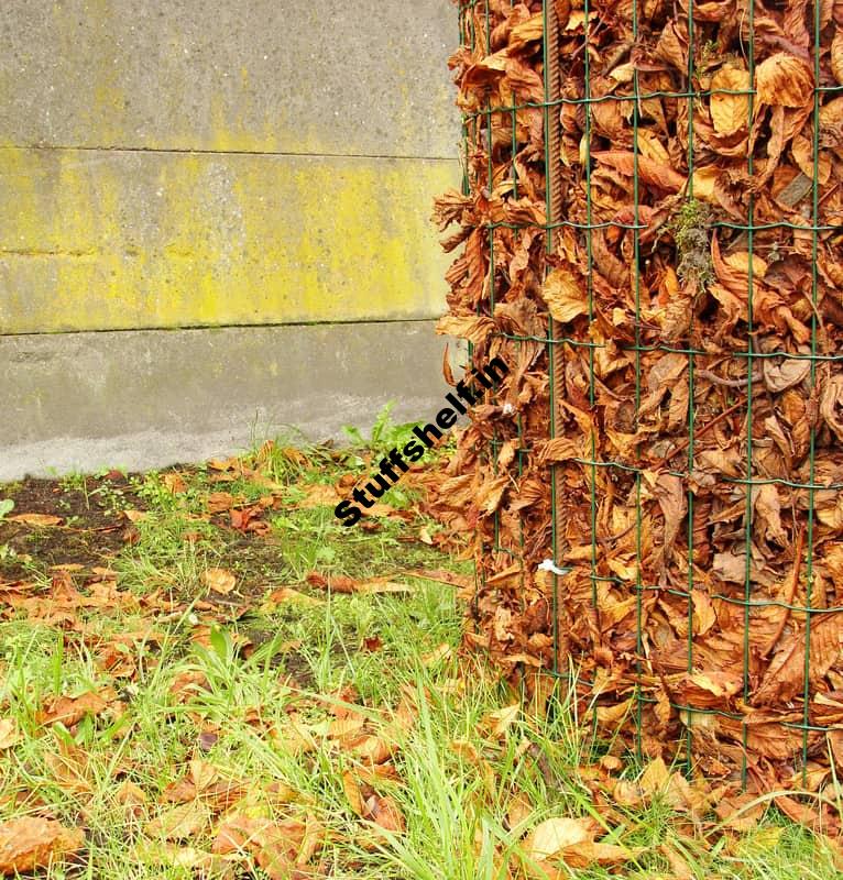 Leaf Mold for the Garden