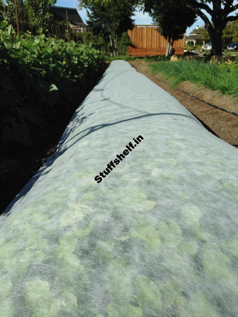 Floating Row Covers Plant Protection