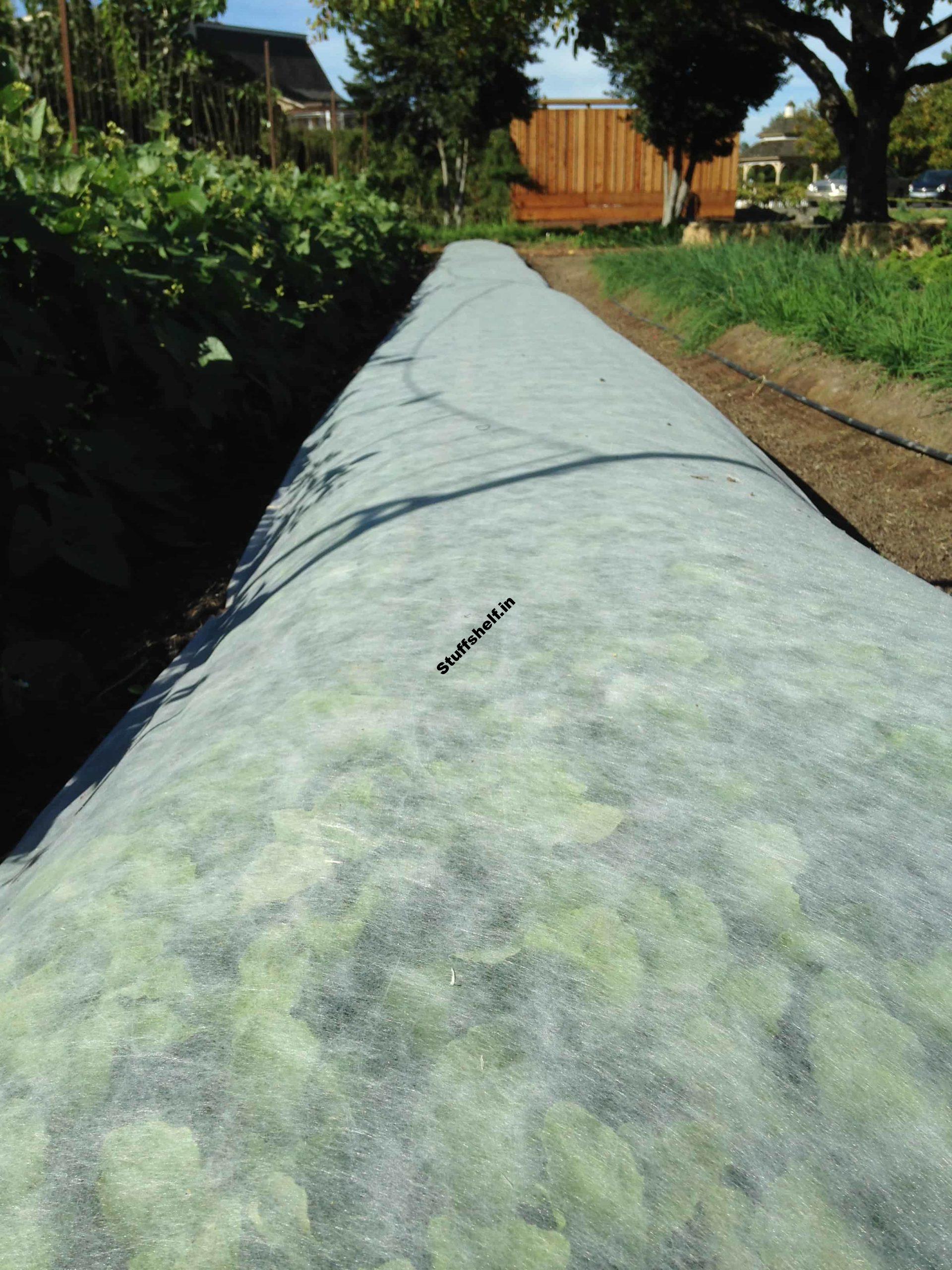 Floating Row Covers Plant Protection