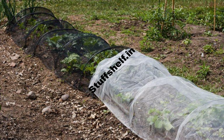 Hoop Tunnel to Shade Vegetables