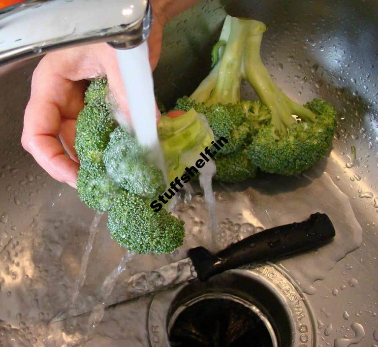 Broccoli Harvest Harvest to Table