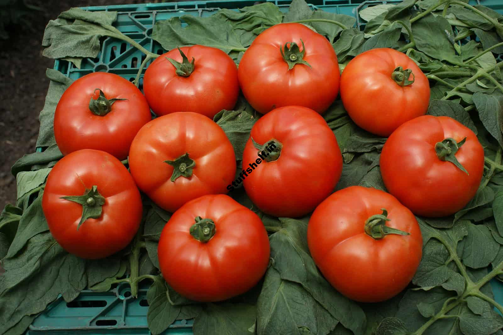 Quick Store Summer Vegetables for Winter Use