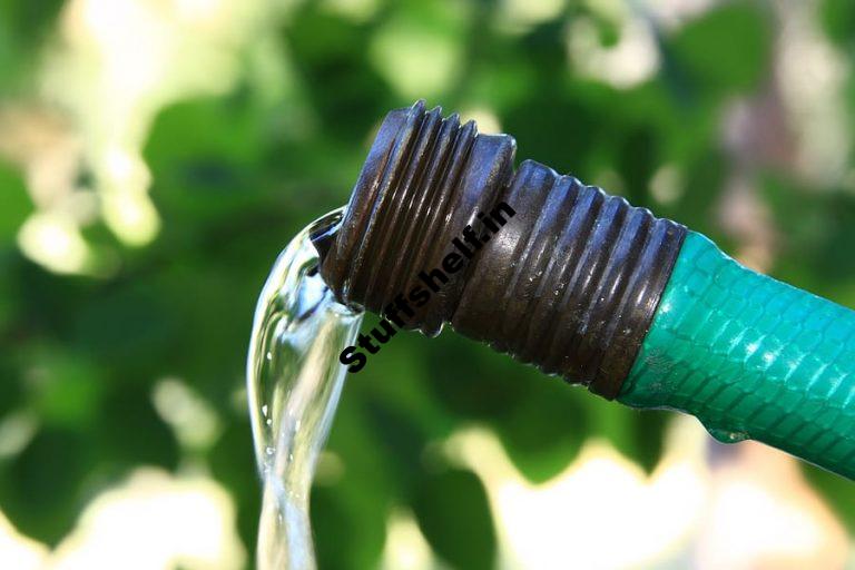 Watering Vegetables in Hot and Dry Weather