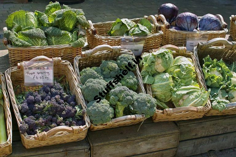 Fall Harvest Vegetable Varieties Harvest to Table