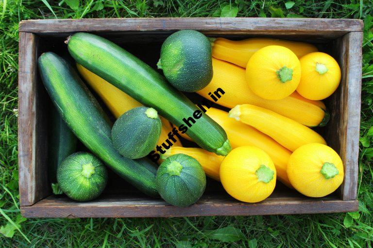 September Vegetable Garden Harvest to Table