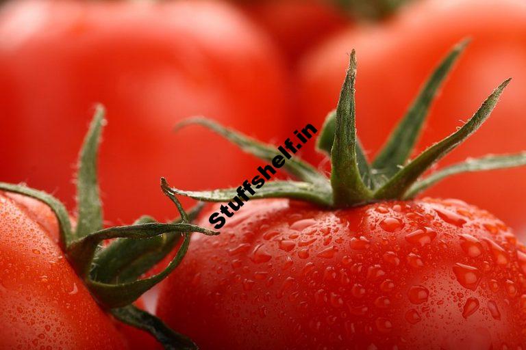 Feeding Tomatoes in Your Garden