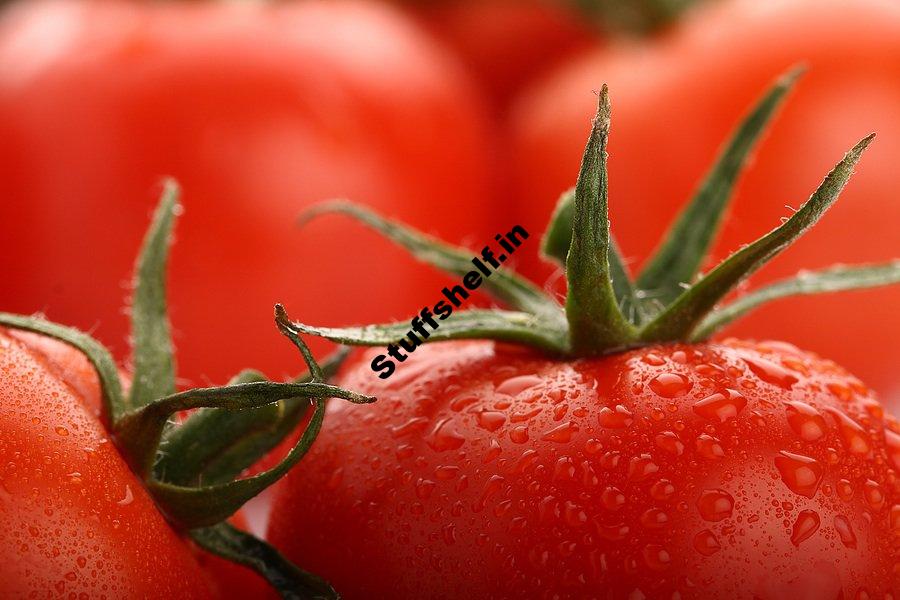 Feeding Tomatoes in Your Garden