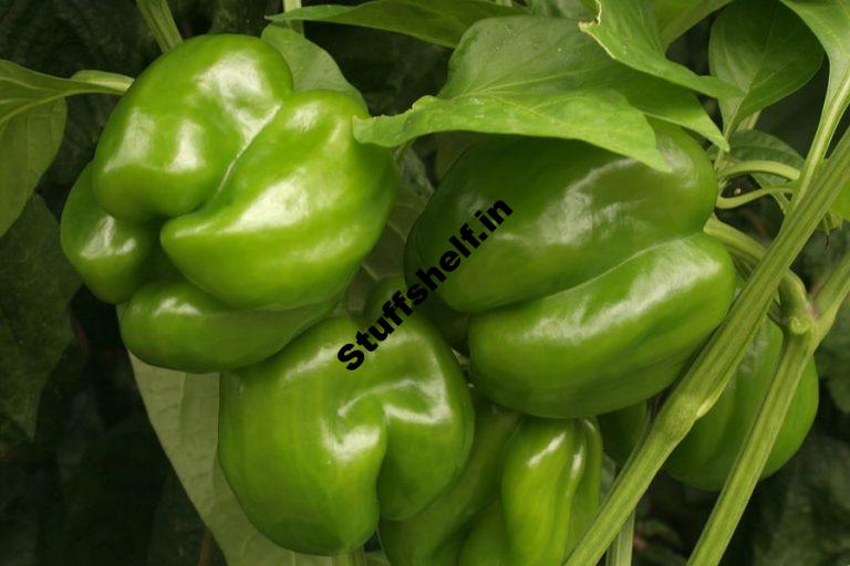 Pepper Varieties That Are Easy to Grow