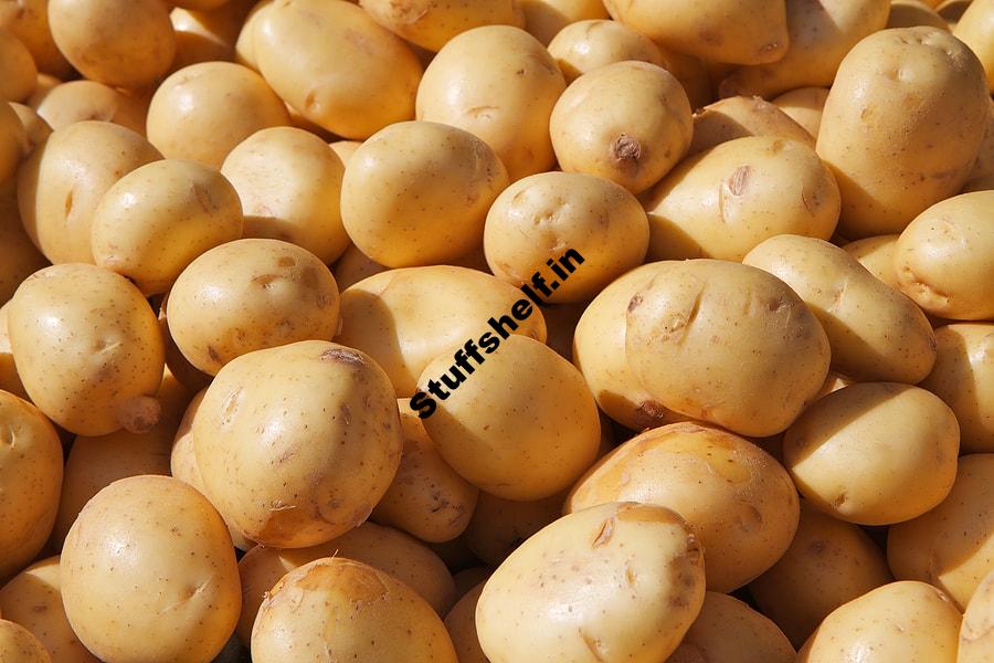 Yukon Gold Yellow Potato – Harvest to Table