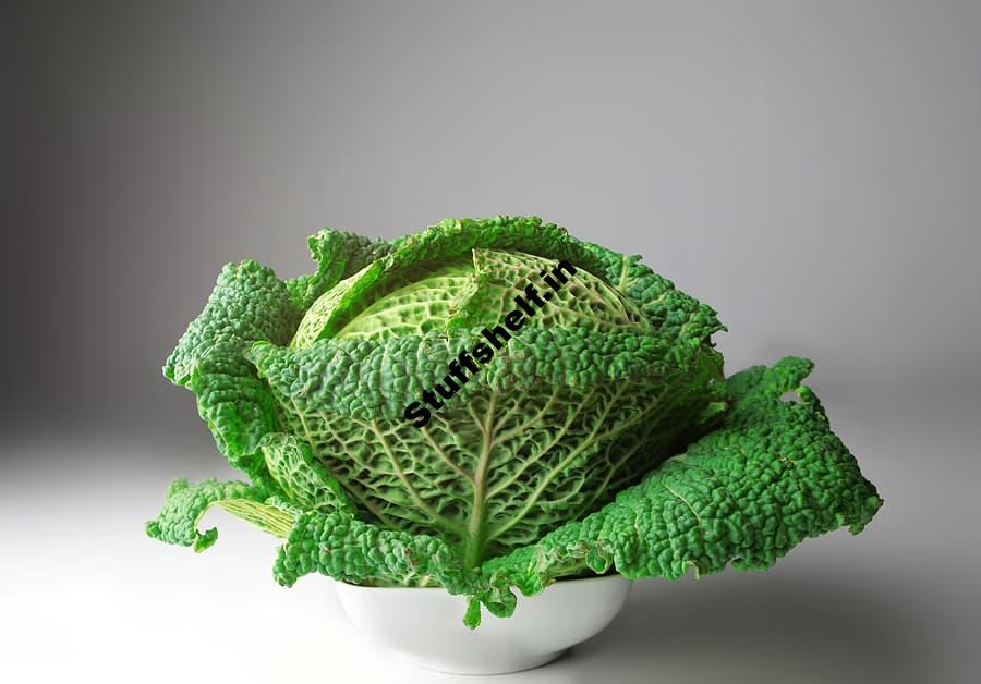 Savoy Cabbage Kitchen Basics Harvest to Table