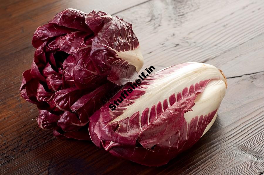 Radicchio Serving Raw and Cooking