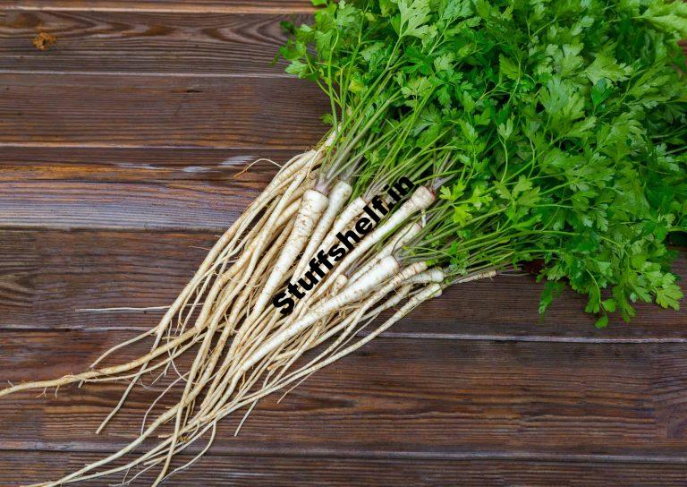 Parsley Root Kitchen Basics Harvest to Table