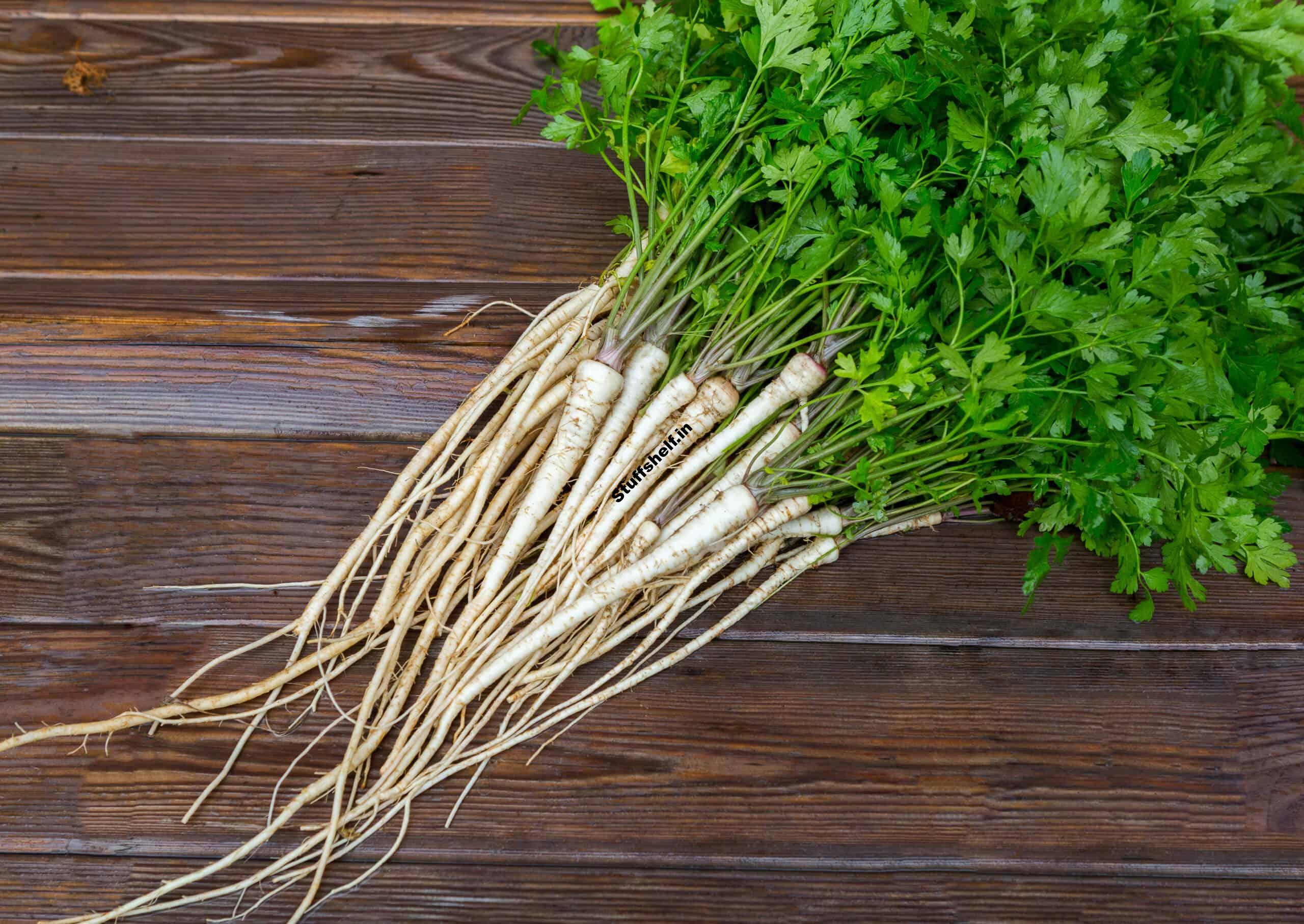 Parsley Root Kitchen Basics Harvest to Table