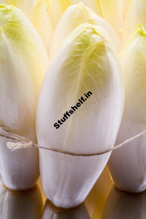 Belgian Endive Serving Tips Harvest to Table