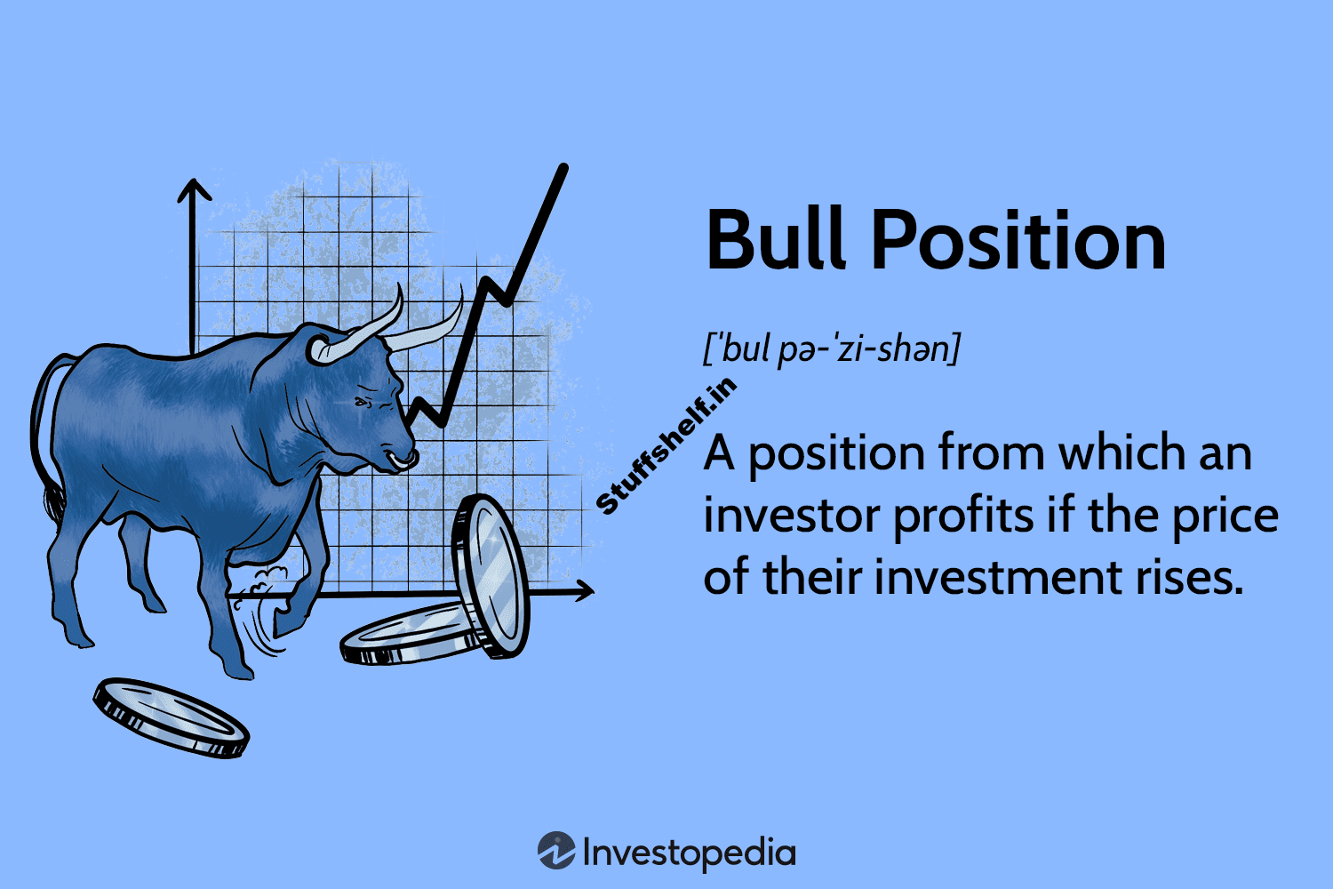 Bull Position Definition