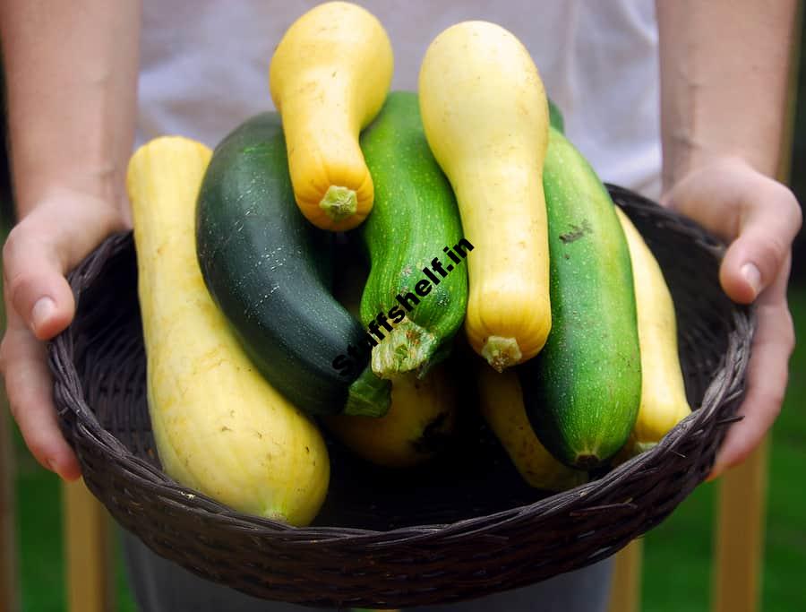 Summer Squash and Winter Squash The Difference