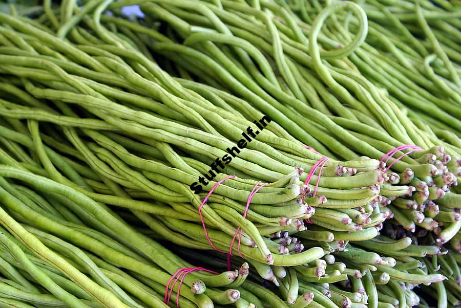 Long Beans Kitchen Basics Harvest to Table