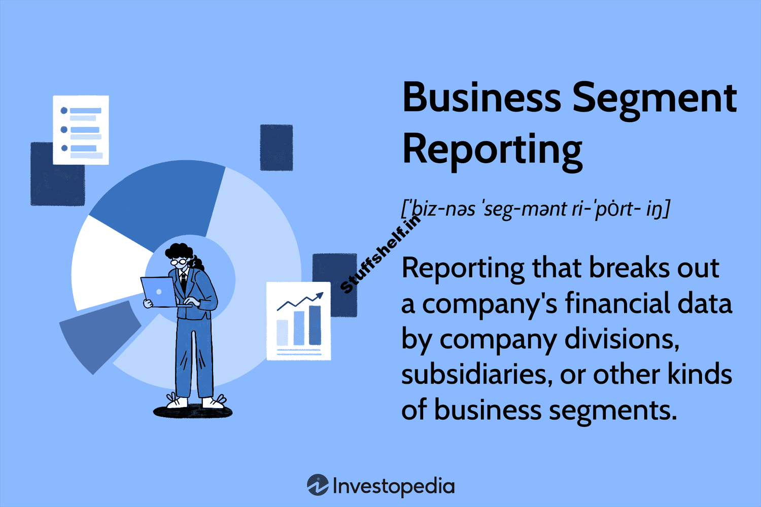 Business Segment Reporting Definition, Importance, Example