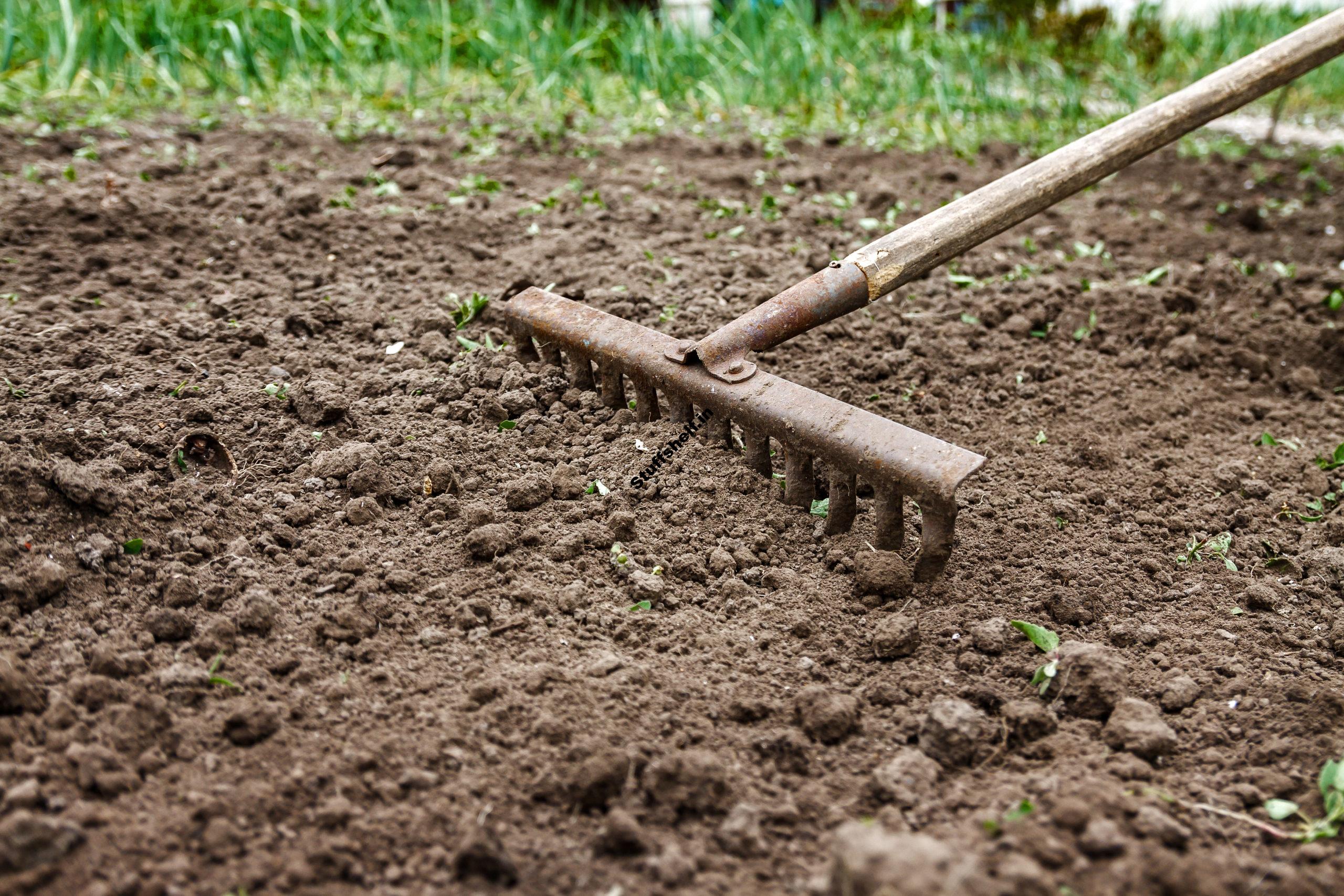 No Dig Light Dig Vegetable Garden Preparation