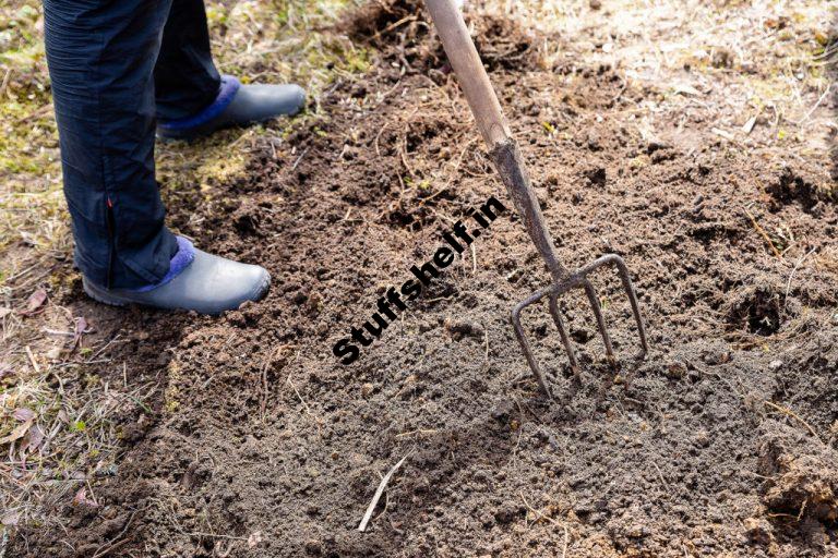 Your Vegetable Garden Soil Harvest to Table