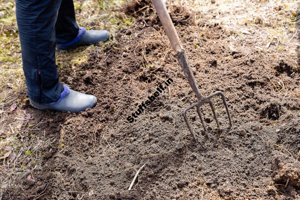 Your Vegetable Garden Soil – Harvest to Table