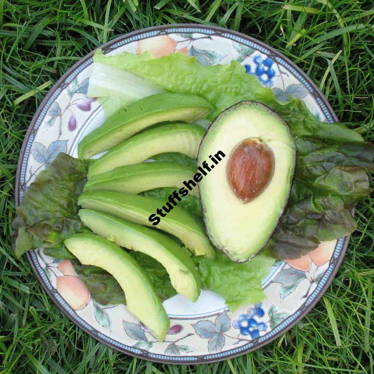 Avocado Kitchen Basics Harvest to Table