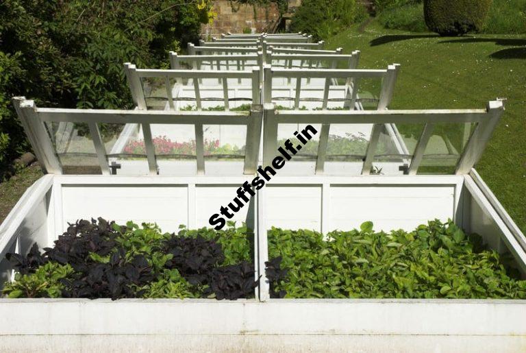 Easiest conceivable Cold Frame Site – Harvest to Table