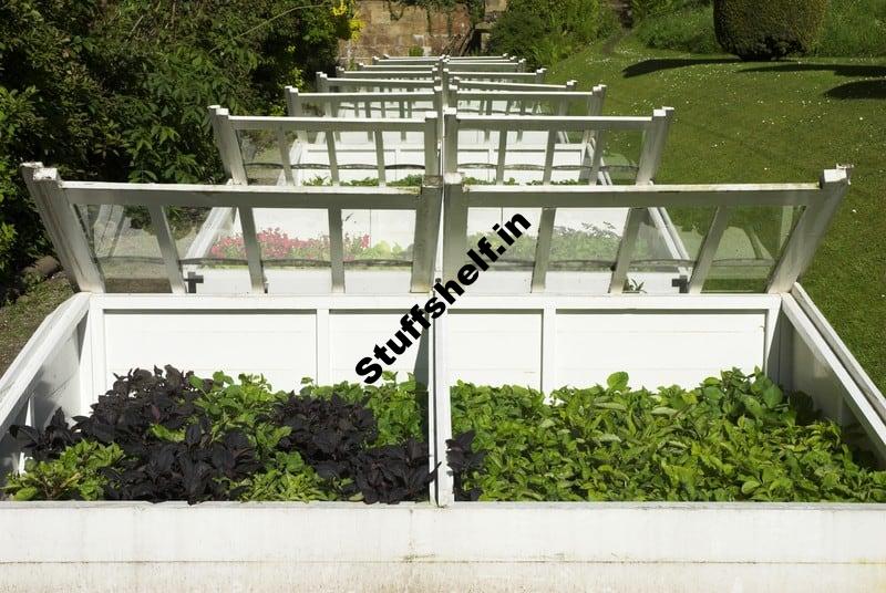 Best Cold Frame Site – Harvest to Table