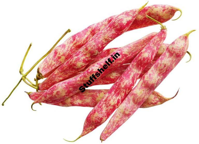 Borlotti Beans Kitchen Basics Harvest to Table