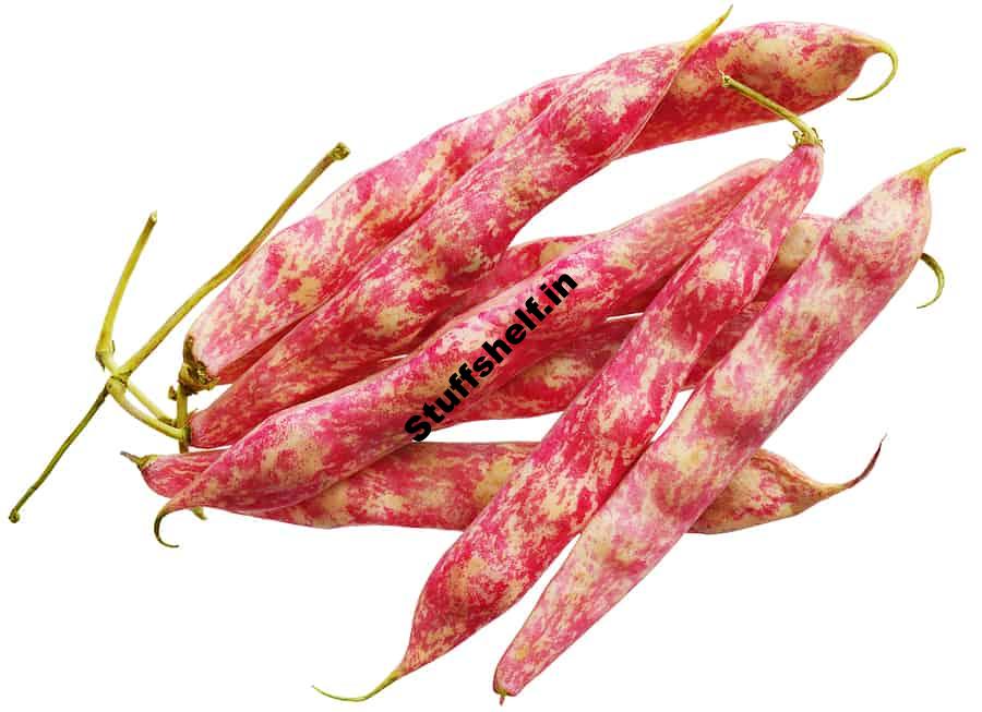 Borlotti Beans Kitchen Basics Harvest to Table