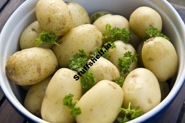 Potatoes for Cooking Harvest to Table