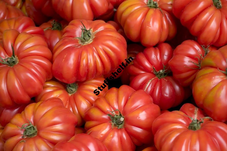 Costoluto Genovese Tomato Harvest to Table