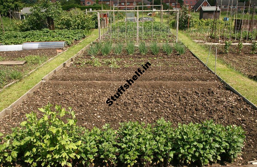 Crop Rotation Planning – Harvest to Table