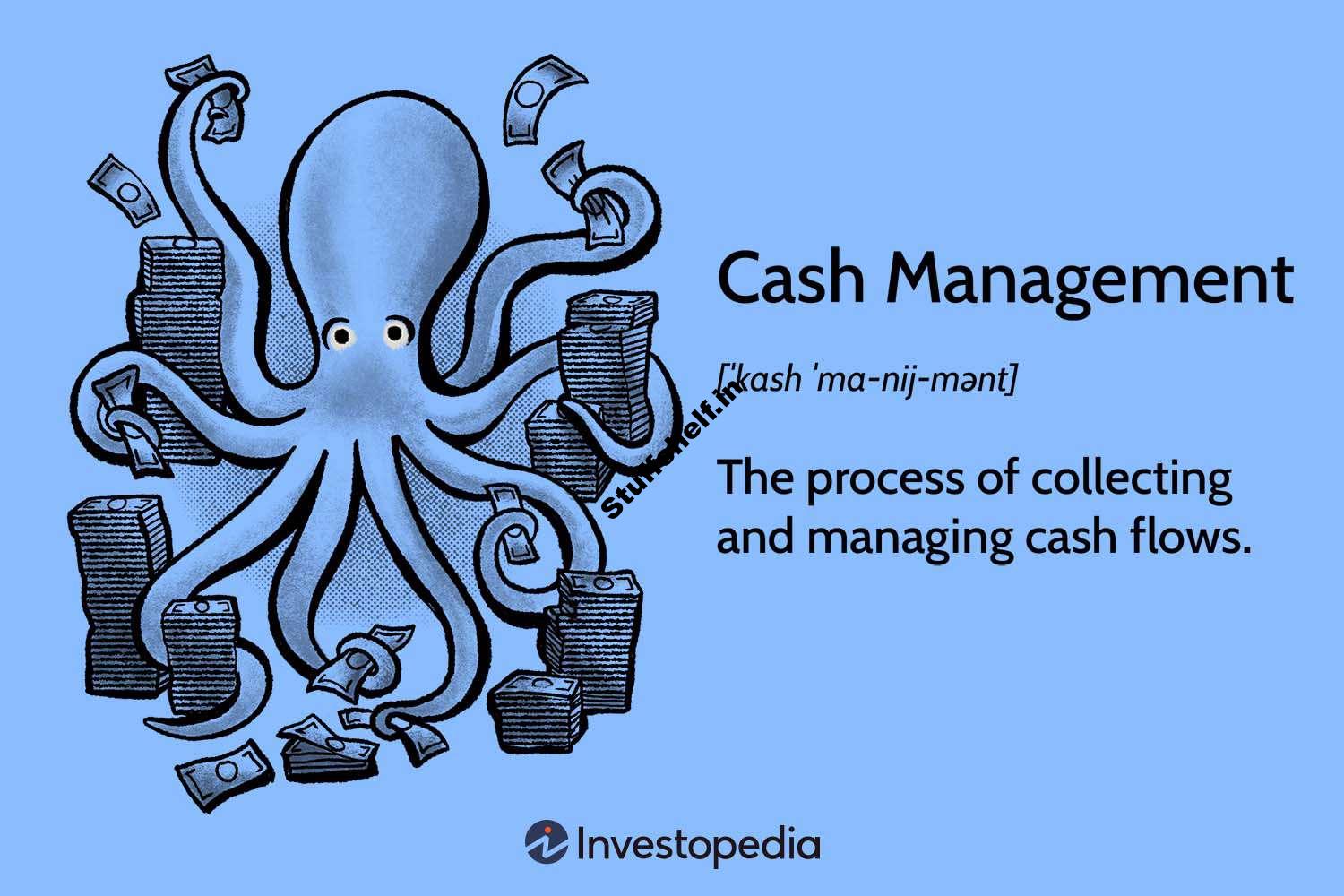 What Is Cash Management in Accounting and Why Is It Important?