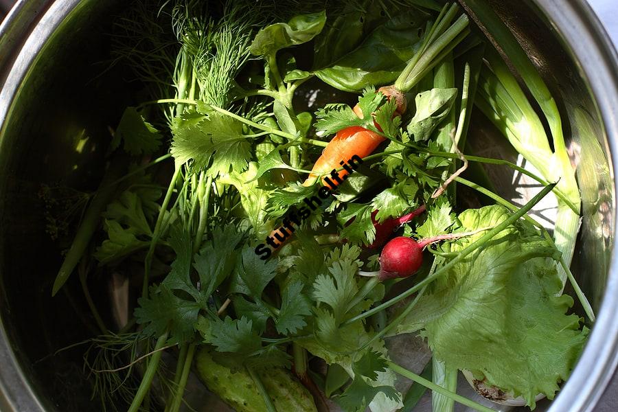 Kitchen Garden Location Harvest to Table