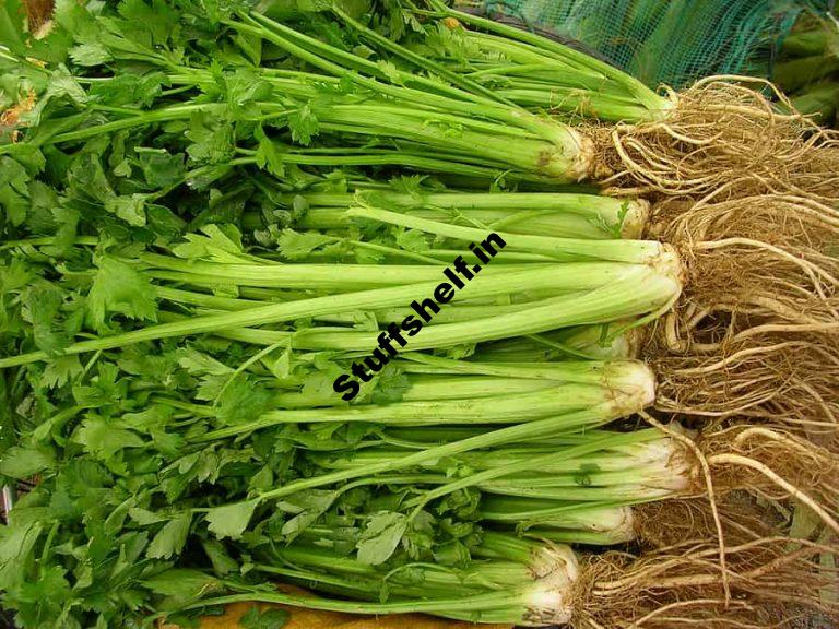 Local Celery Harvest to Table