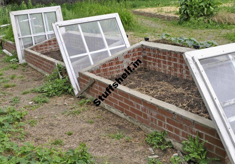 Making a Cold Frame Harvest to Table