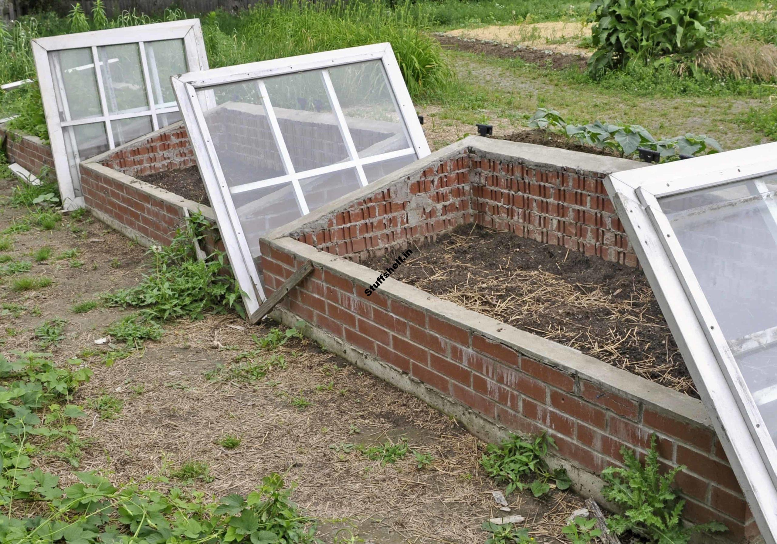 Making a Cold Frame Harvest to Table