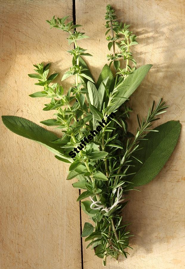 Marjoram and Oregano Kitchen Basics