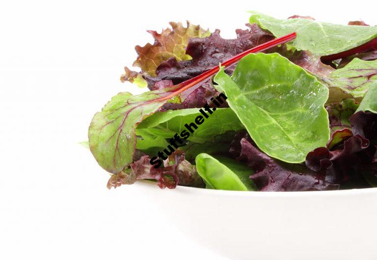 Mesclun The French Salad Mix